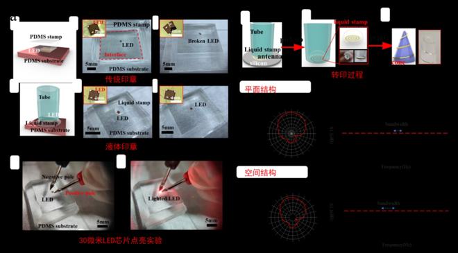清华大学冯雪教授课题组AFM:基于表面张力和毛细力的液滴转印方法