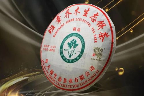 说茶网的个人展示页