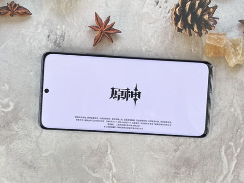 小米13 pro动手玩 移动影像新华章